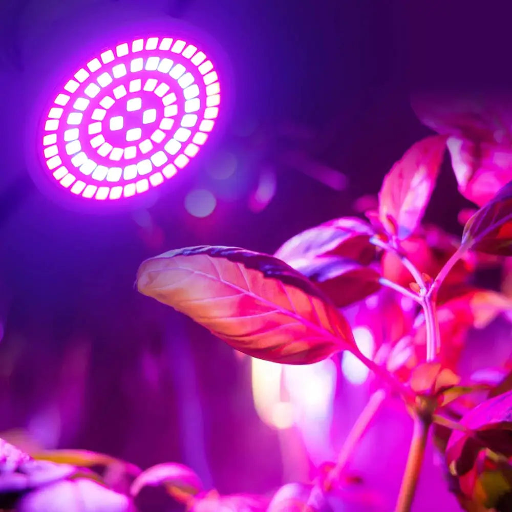Full Spectrum LED Grow Bulb 220V E27 80 LEDs For Indoor Plants Greenhouse Hydroponic Lighting