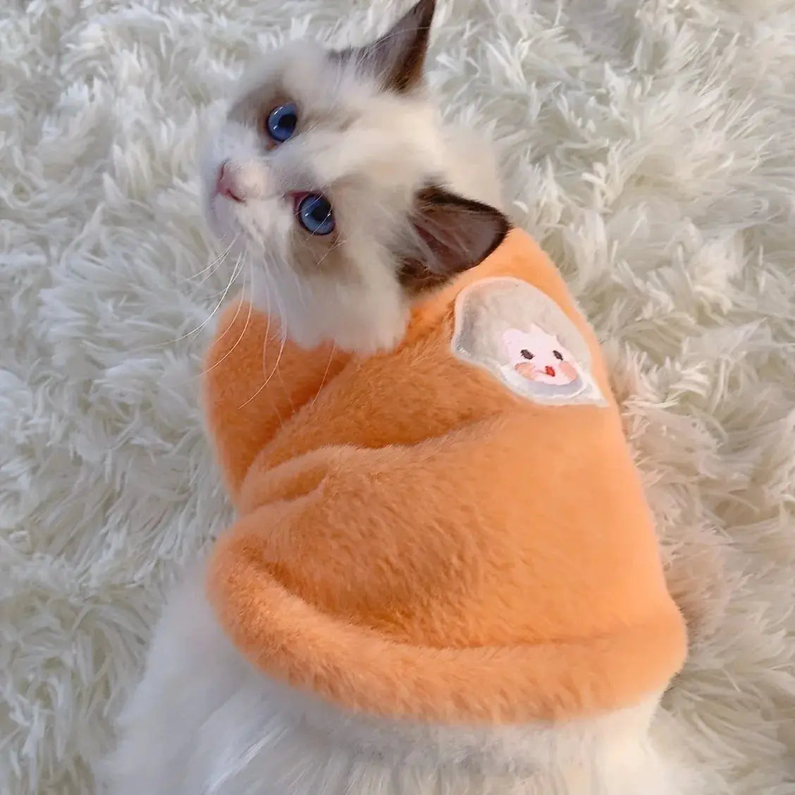 Winter Cat Sweaters and Vests for Kittens and Small Cats Warm Cozy Pet Apparel for Winter
