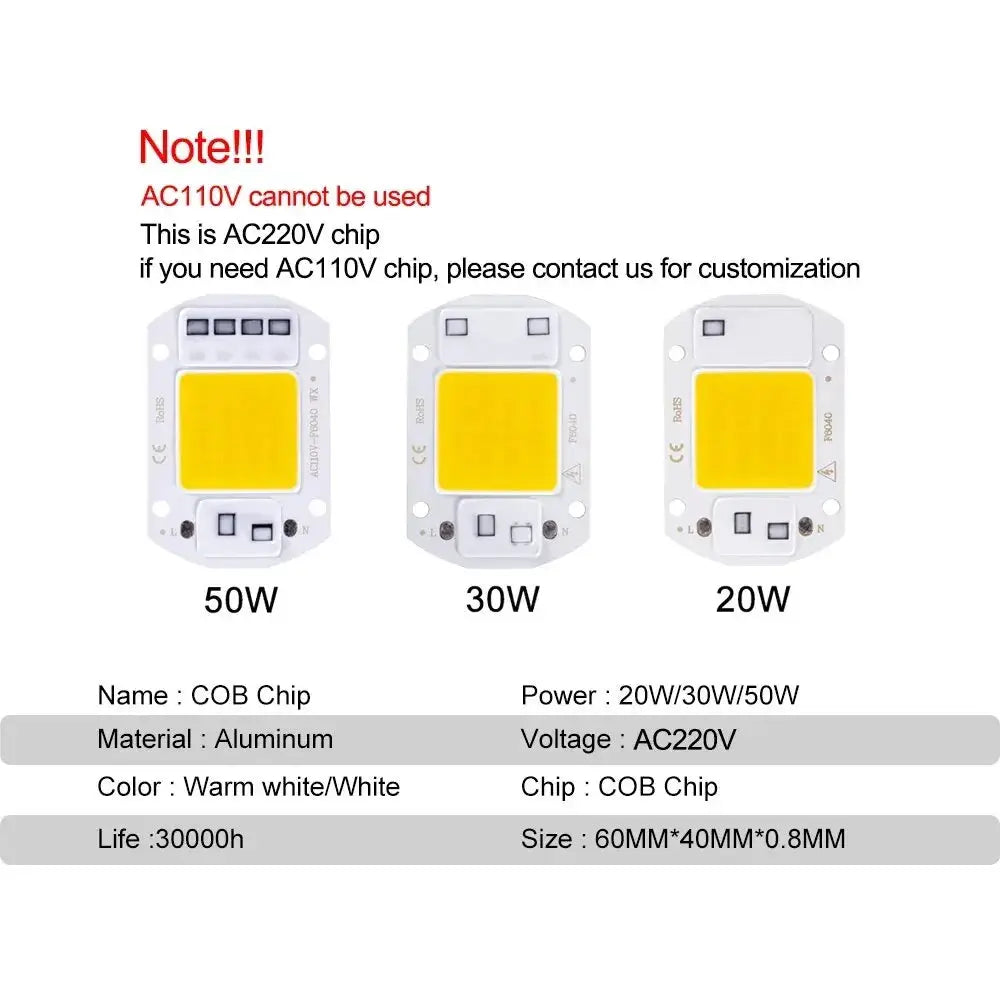 F6040 COB LED Module 20W 30W 50W AC 220V Outdoor Spotlight Garden Lighting Bead Lamp