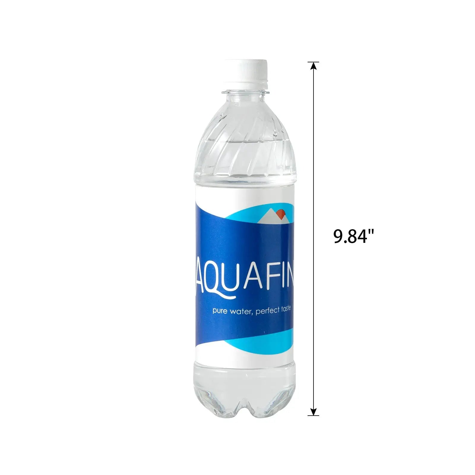 Aquafina Water Bottle Diversion Safe Hidden Stash Container With Food Grade Smell Proof Bag