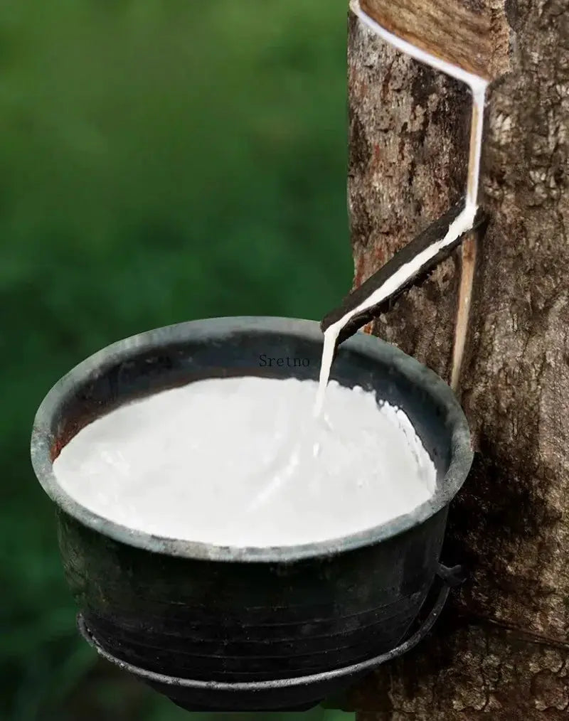Simples Market SRETNO natural latex; latex being tapped from a rubber tree into a metal cup