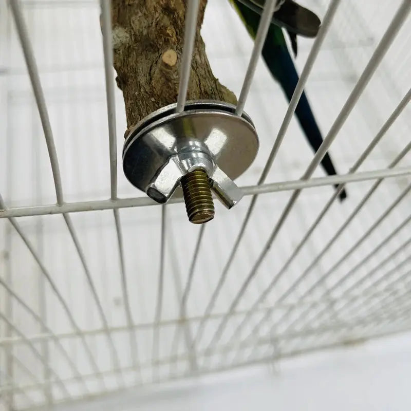 Bird claw beak grinding bar mounted on a metal cage, silver disk with a threaded bolt