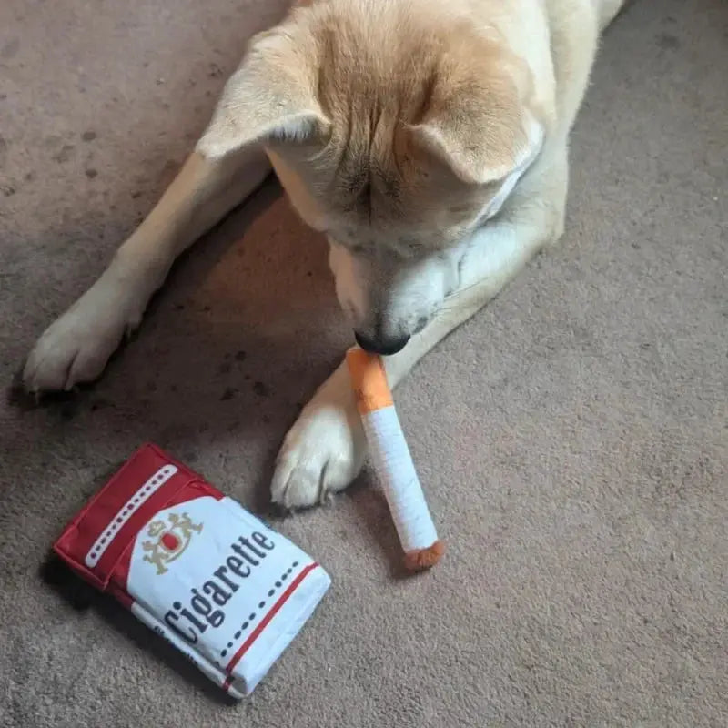 Plush dog chew toy by Simples Market with cigarette design; dog chews orange-filter toy beside red Cigarette package
