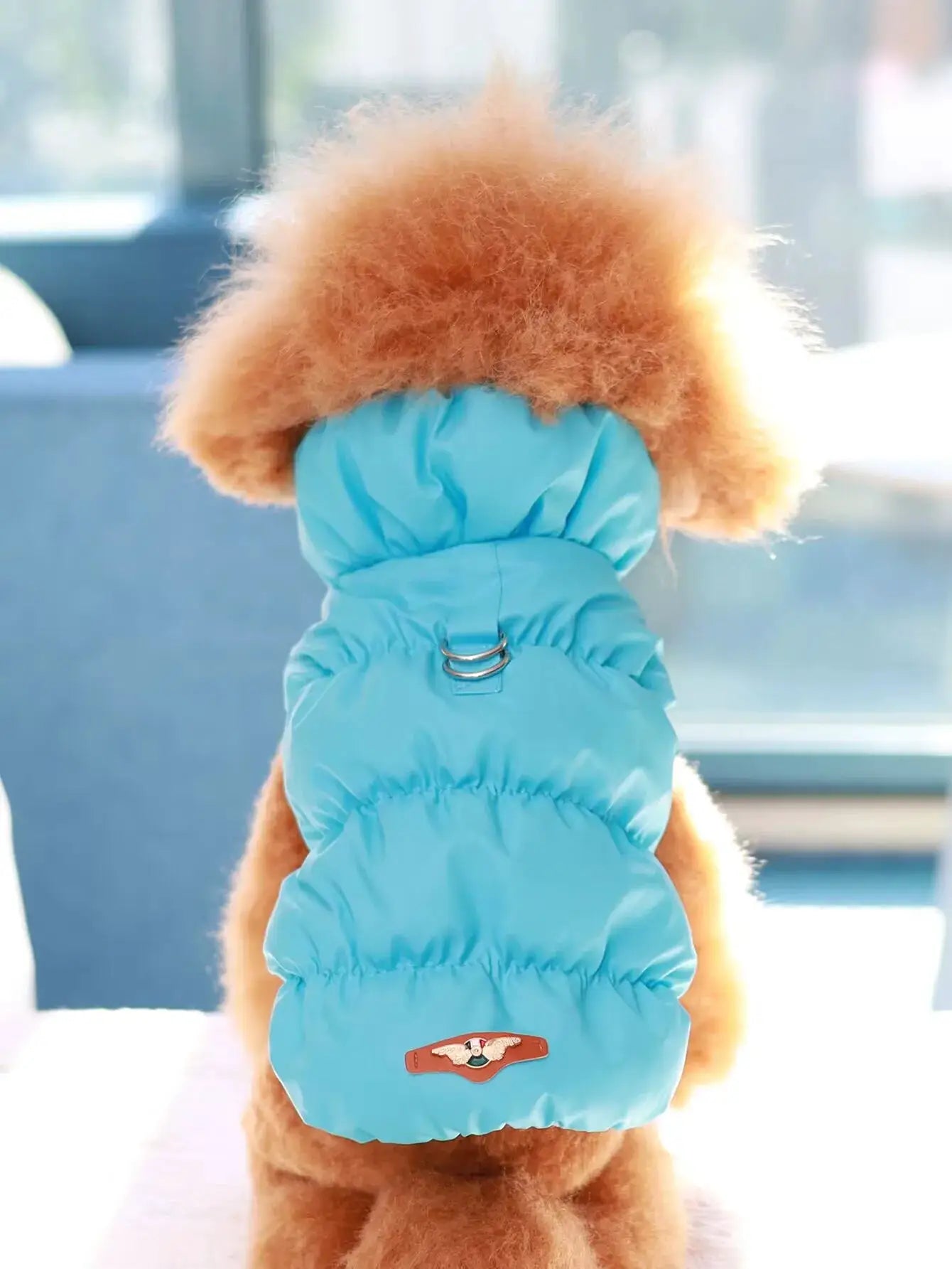 Dog Jacket For Autumn And Winter Three Layer Thick Warm Outerwear For Small To Medium Dogs
