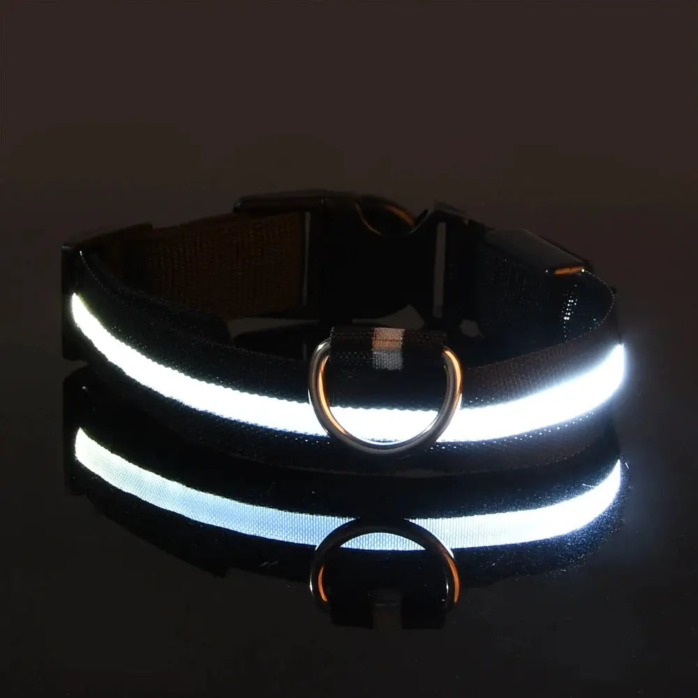 Nylon LED Night Safety Dog Leash And Collar With Flashing Glow In The Dark Luminous Fluorescent