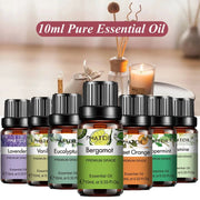PHATOIL 10ml Natural Plant Essential Oil Eucalyptus Lavender Bergamot Vanilla Peppermint For Diffuser