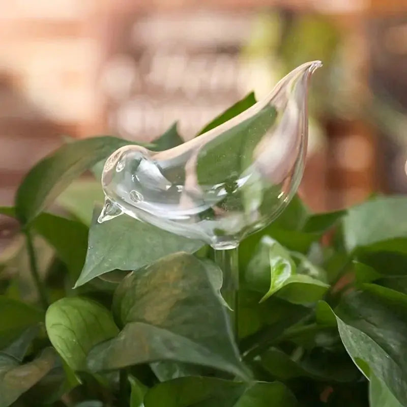 Imitation Glass Plastic Bird Automatic Water Dispenser With Travel Drip Hydration For Birds