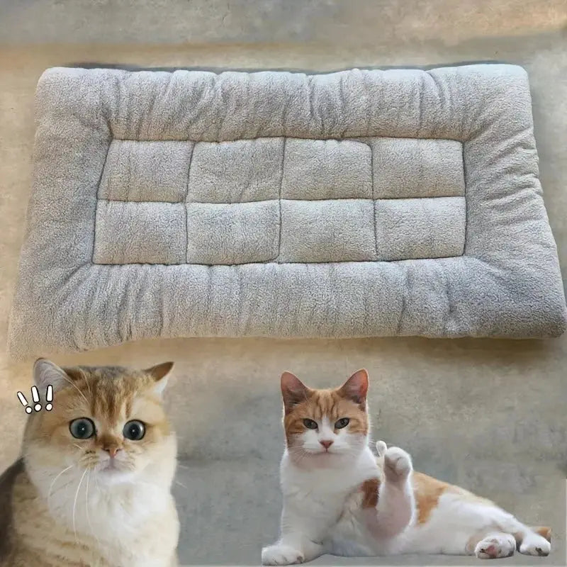 Large Plush Dog Bed Sofa Style Thickened Super Soft Polyester Pet Mat Crate Mat For Small Medium And Large Dogs