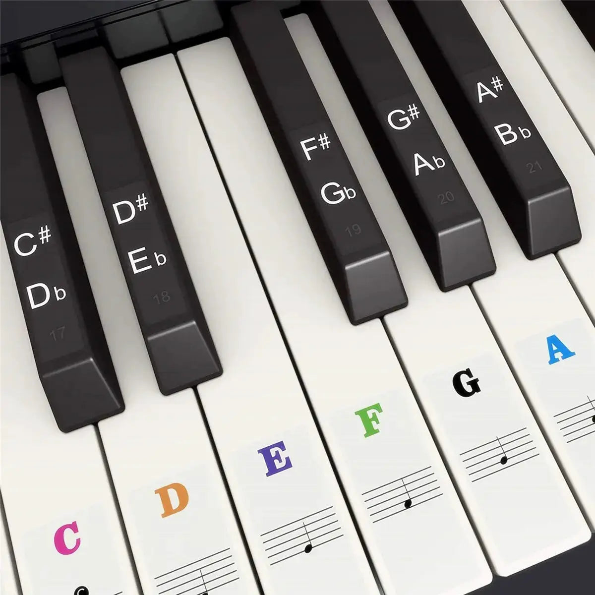 Piano Keyboard Sticker Set For 37 To 88 Keys White And Black Notes Learnable Note Labels For Electronic Pianos