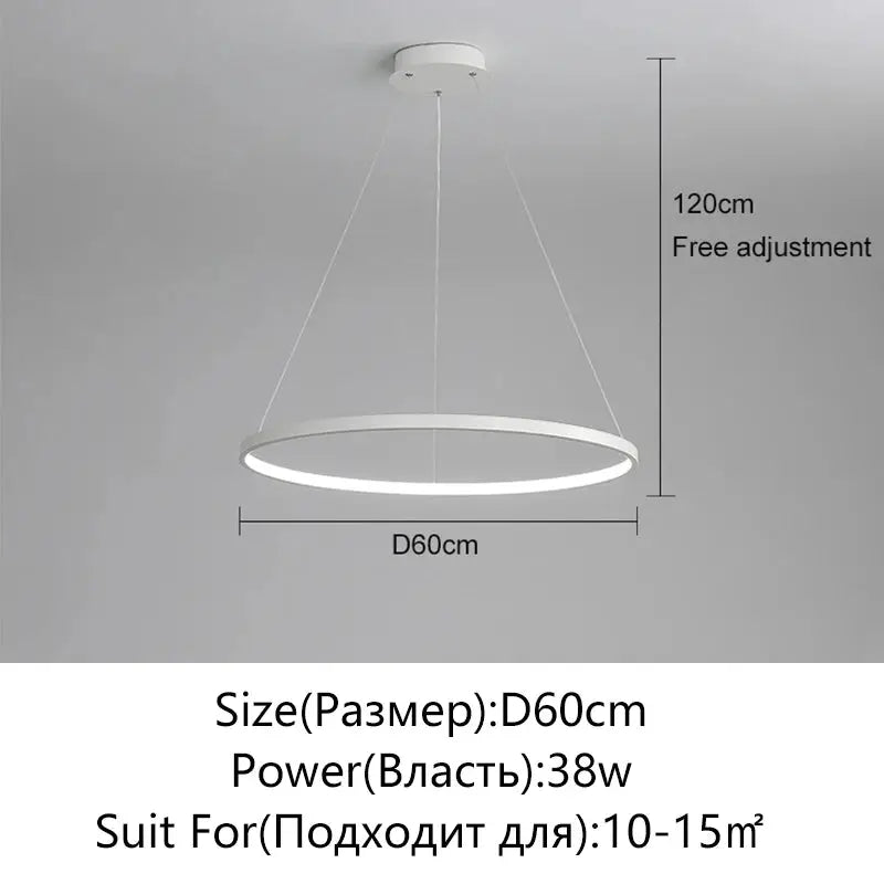 Modern round LED pendant light, white circular ring with 60 cm diameter and 120 cm adjustable suspension.