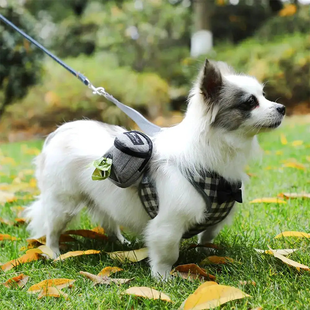 Pet dog treat pouch in gray fabric attached to a plaid harness on a small white dog outdoors.