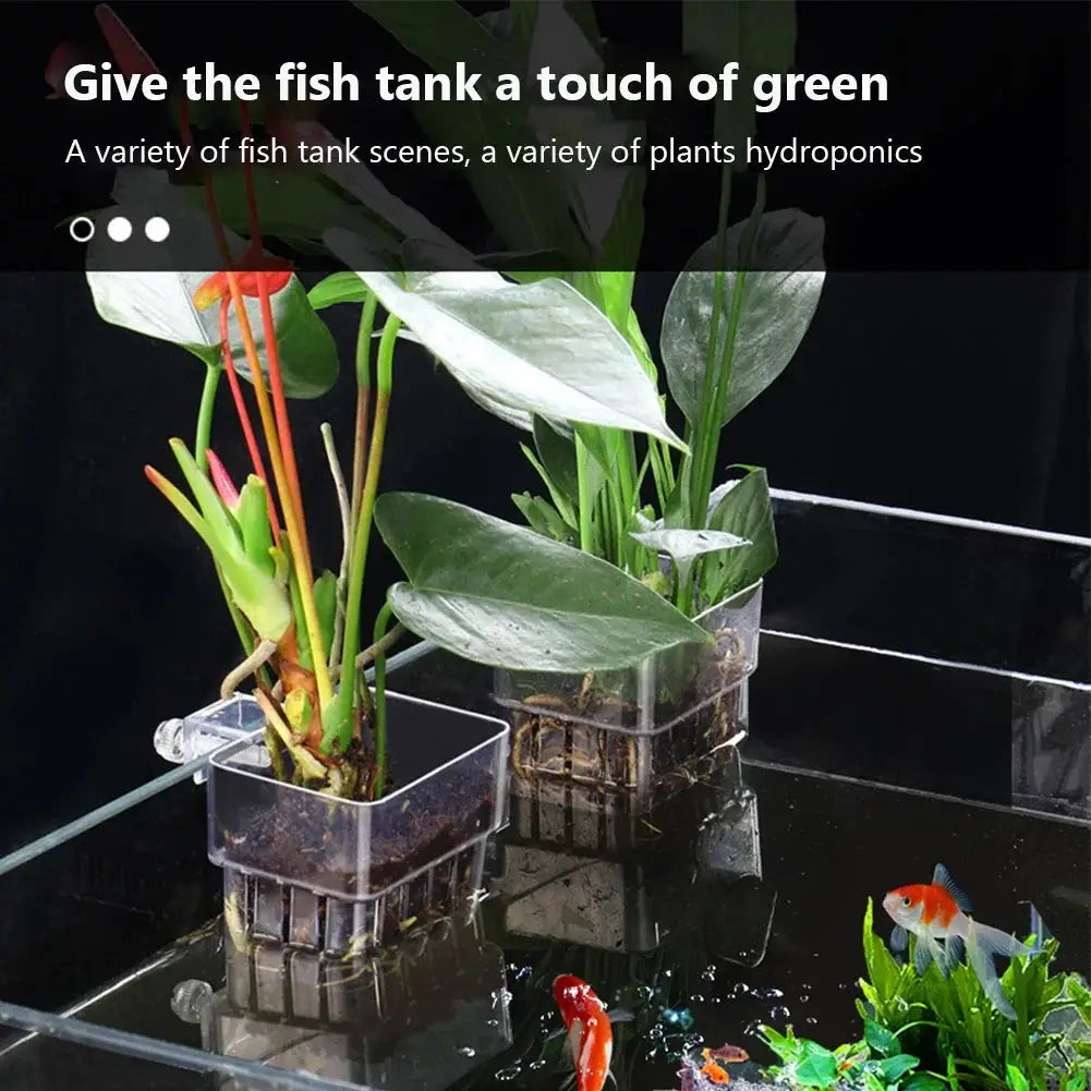 Transparent Aquarium Plant Basket Hanging Decor for Fish Tank Plant Holder and Planter