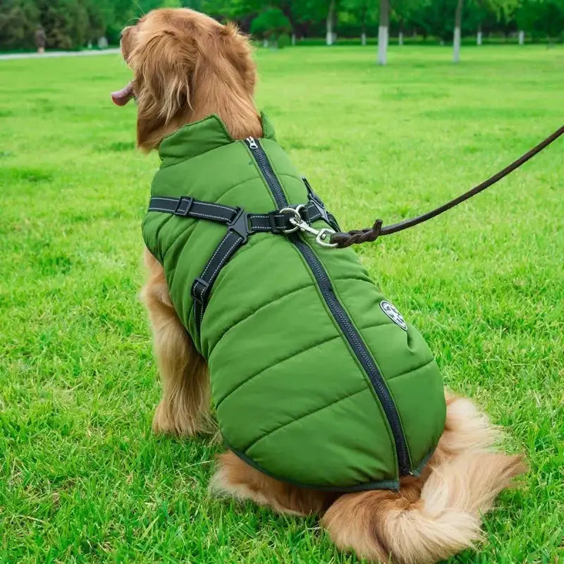 Large green quilted dog jacket with built-in harness; waterproof winter coat