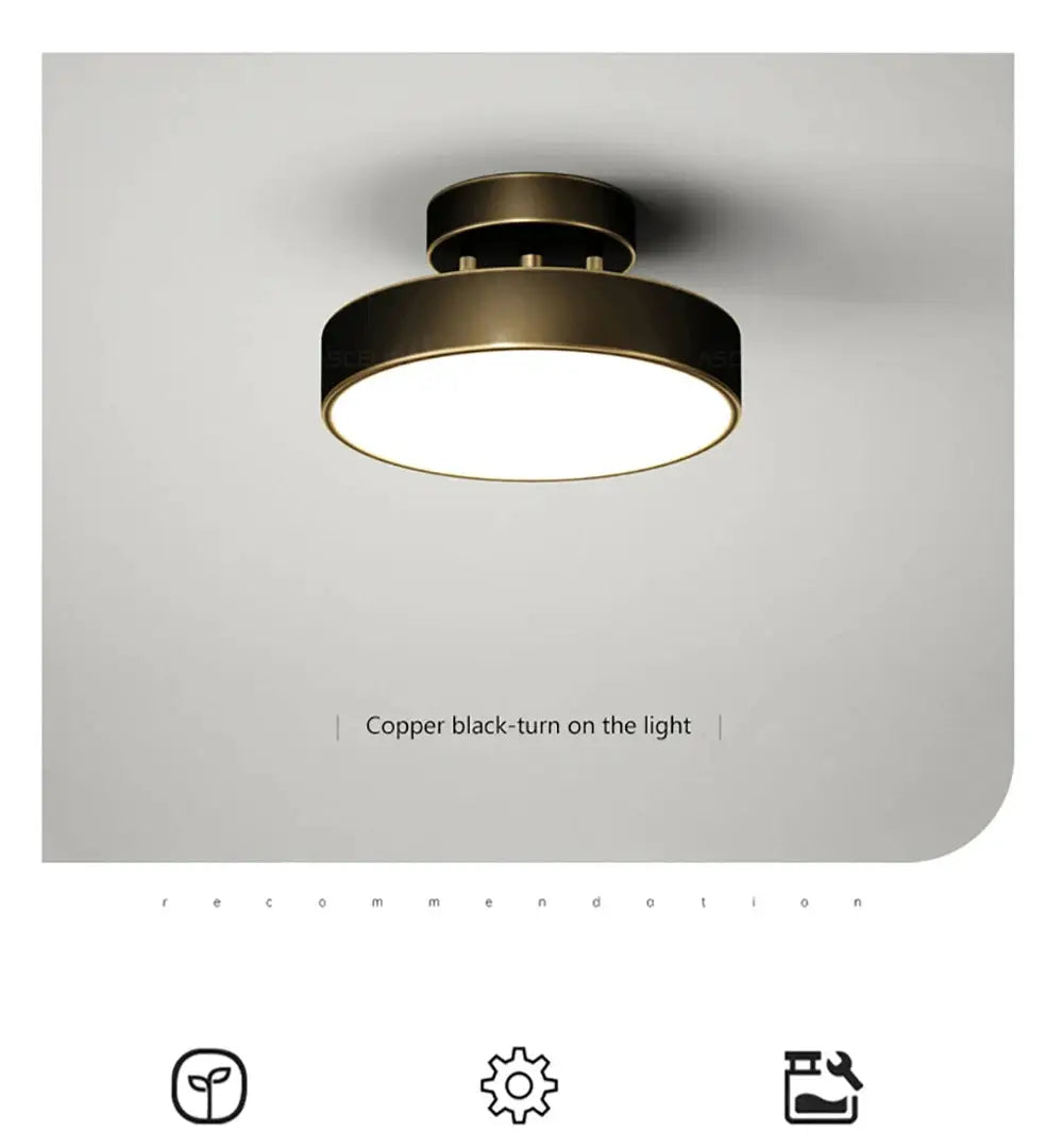 Modern LED ceiling light copper black round fixture with gold edge for bedroom or living room