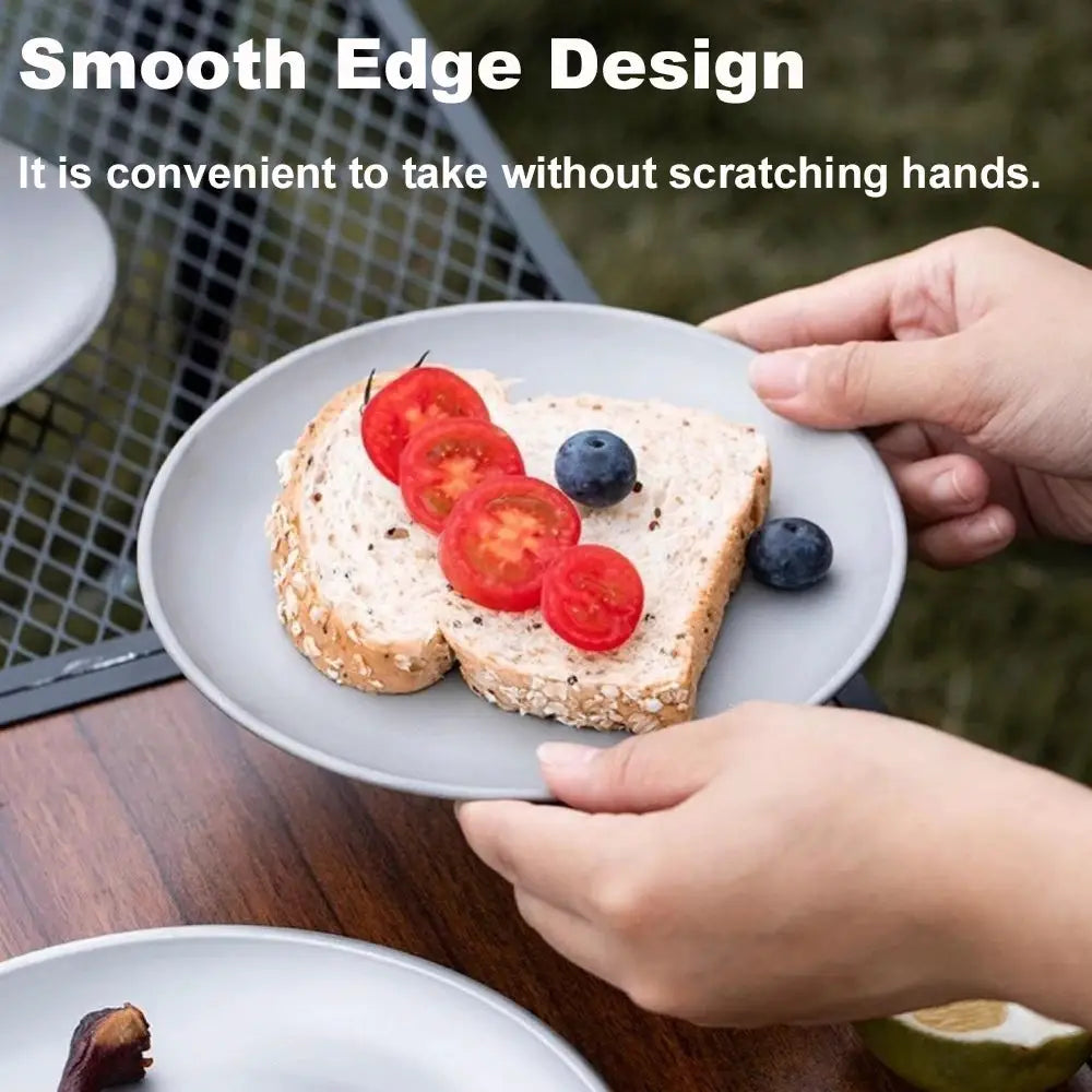 Titanium camping plate, frosted gray reusable outdoor dinnerware; hand-held plate above another plate with bread slices and berries