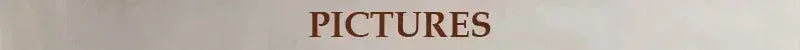 PICTURES banner sign on a light beige wall; decorative header image.