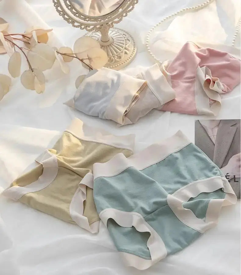 Panties 4-piece set for women in seamless modal fabric, pastel colors with white trim
