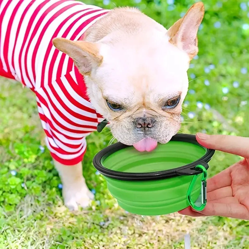 Portable Pet Food Bowl Durable TPR Collapsible Cat Dog Travel Outdoor Water Bowl