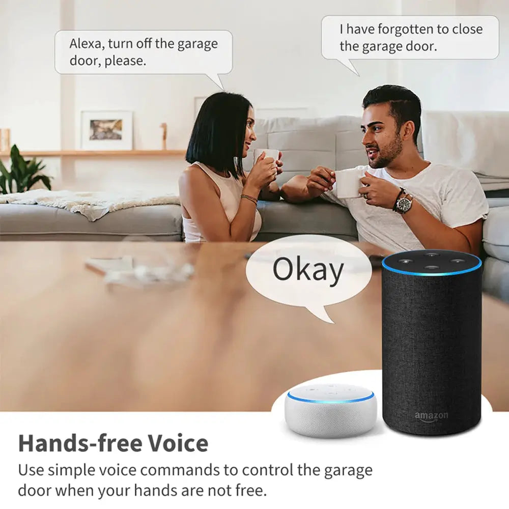 Smart WIFI Garage Door Opener by Simples Market; two devices shown: black Echo and white Nest Mini.