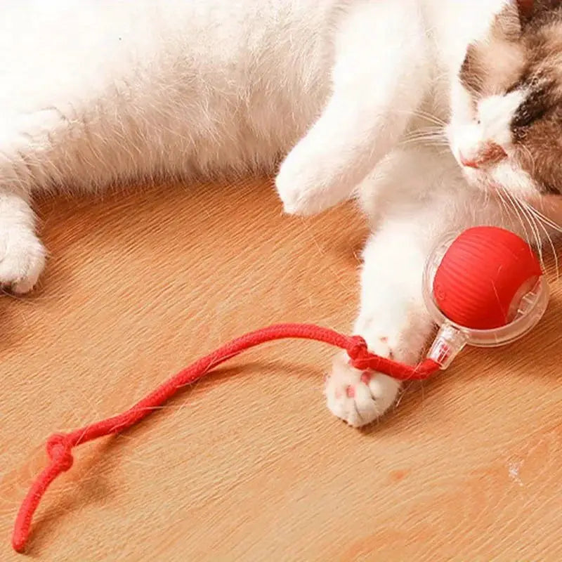 Automatic Interactive Cat Ball Toy Rechargeable Smart Rolling Ball With Faux Tail Mouse Imitation Cat And Dog Training