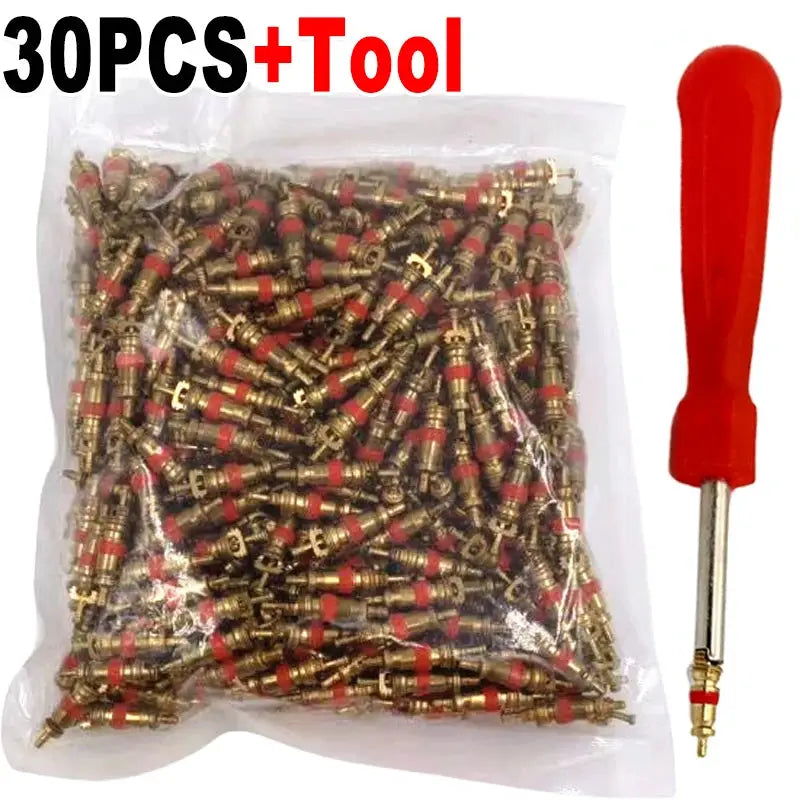 Simples Market copper tire valve core removal kit, 30 pcs with zinc-plated cores and red seals, red-handled tool