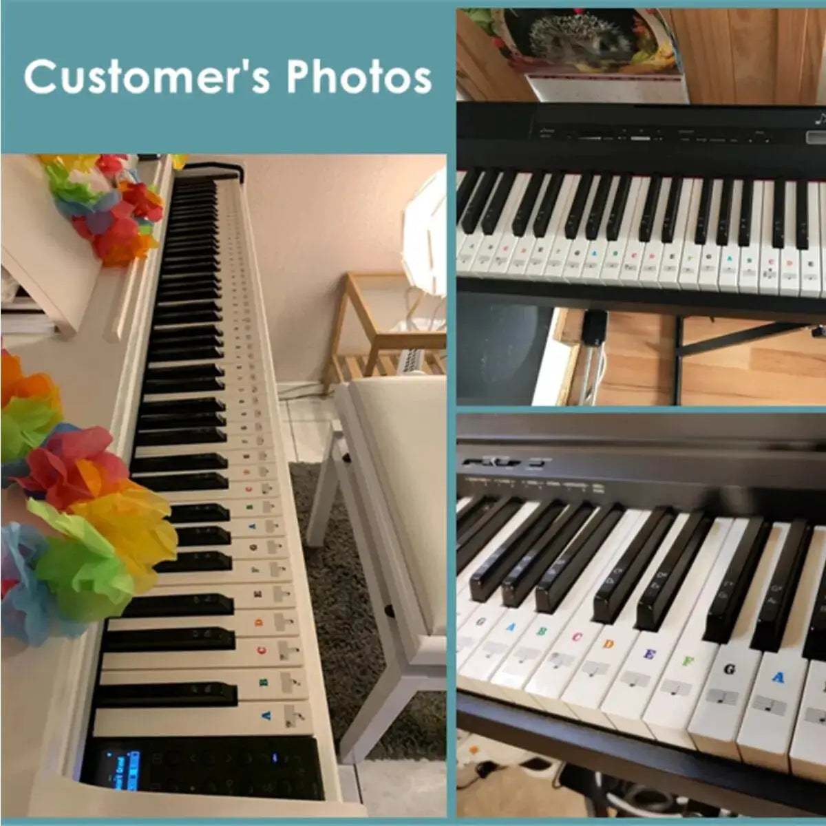 Piano Keyboard Sticker Set For 37 To 88 Keys White And Black Notes Learnable Note Labels For Electronic Pianos
