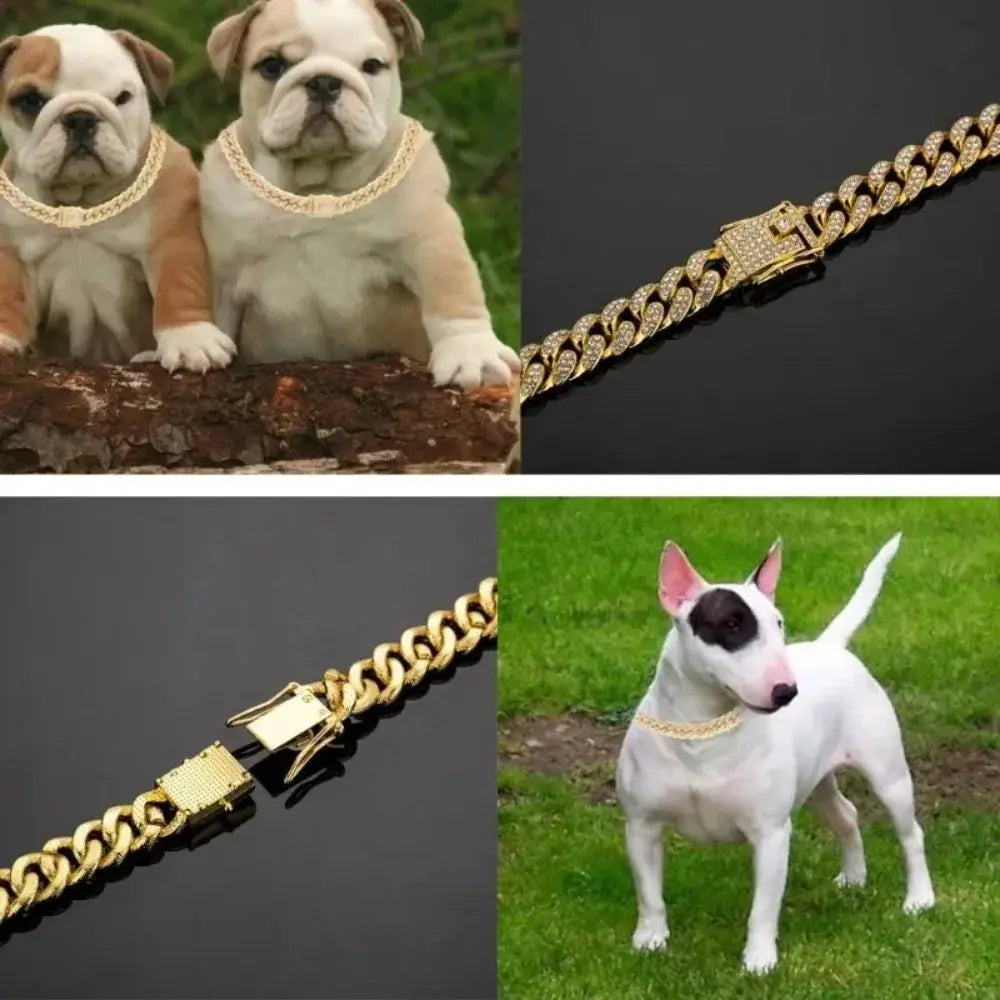 Simples Market Cuban Chain Dog Collar, gold stainless steel with adjustable safety buckle for small to medium breeds; four views.
