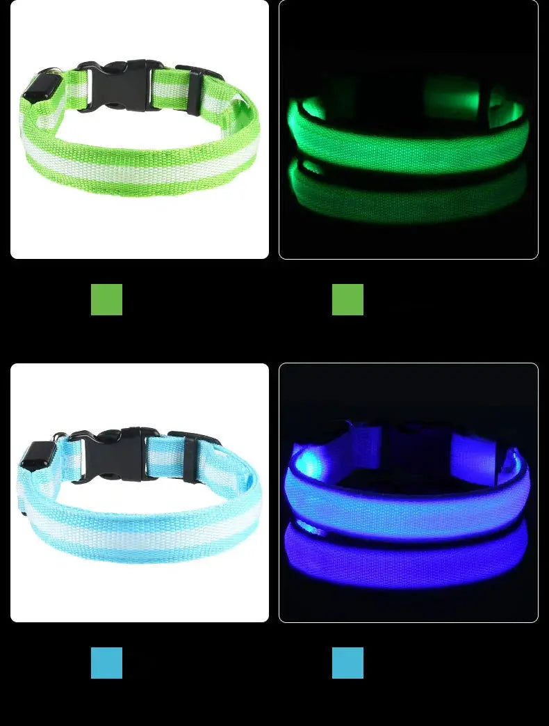 Two nylon LED dog collars in lime green and sky blue with glow-in-the-dark safety LEDs.