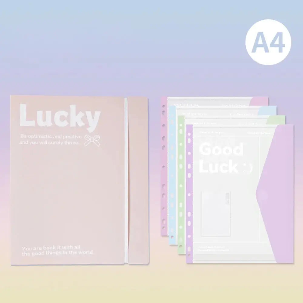 Simples Market INS Style A4 file folder set with pastel pink folder and transparent detachable data book