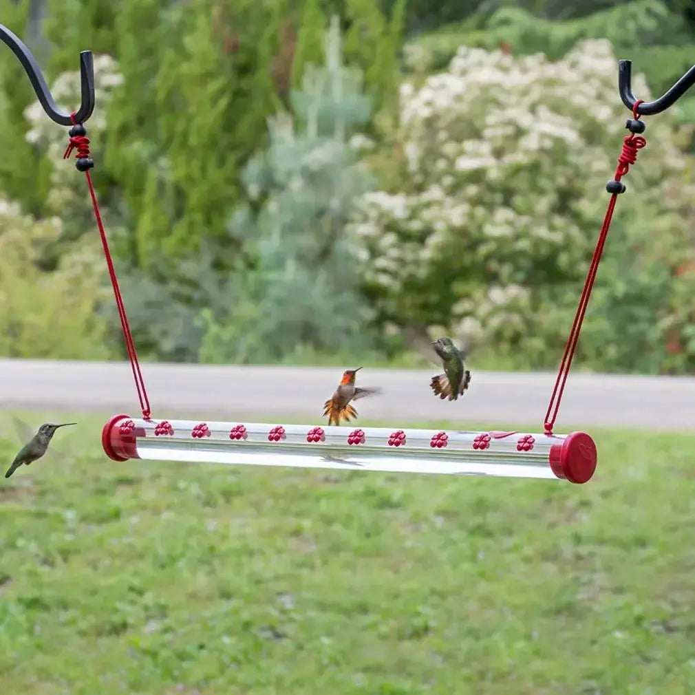 Parrot feeding cups stainless steel feeder with red end caps and clamp holder, outdoor hanging setup