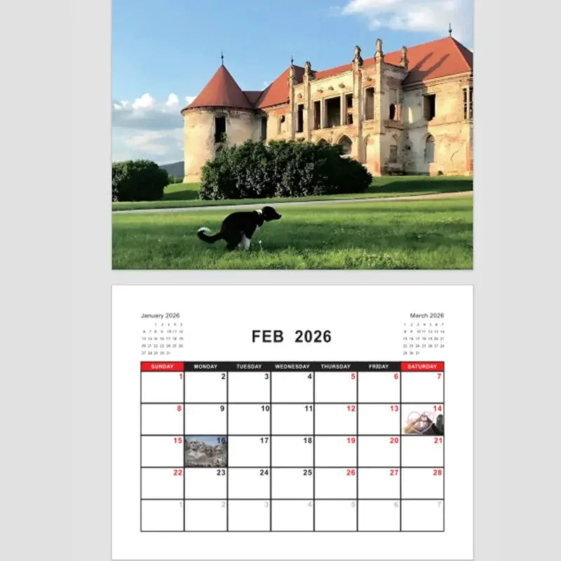 2026 Pooping Dog Calendar wall calendar featuring a castle backdrop and February 2026 page
