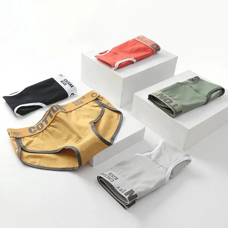 Women’s cotton panties set of 6 in assorted colors with contrast waistbands.