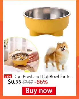 2 yellow pet bowls, one with stainless interior, shown with a fluffy Pomeranian dog