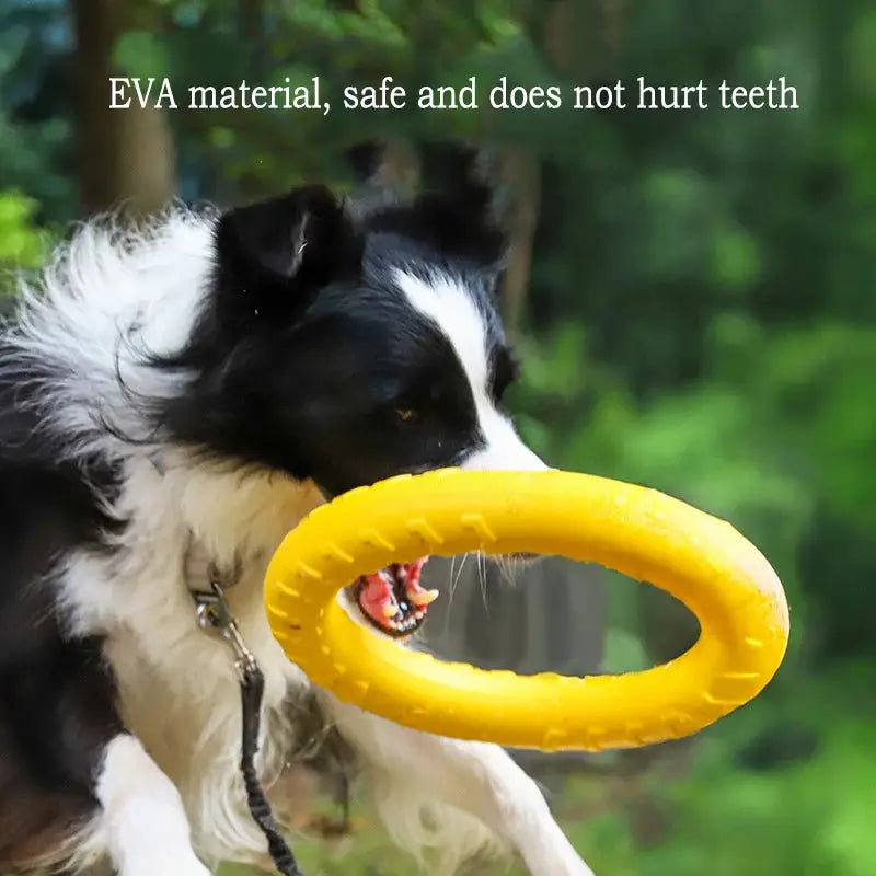 EVA dog toy ring in bright yellow; chew-safe fetch toy for puppies and dogs