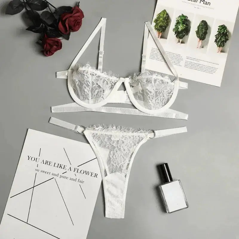 LaceLuxe Embroidered Sheer Lingerie Set With Push Up Bra And Brief For Seductive Curves
