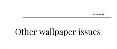 Wallpaper page header reading Other wallpaper issues on white background with a thin line