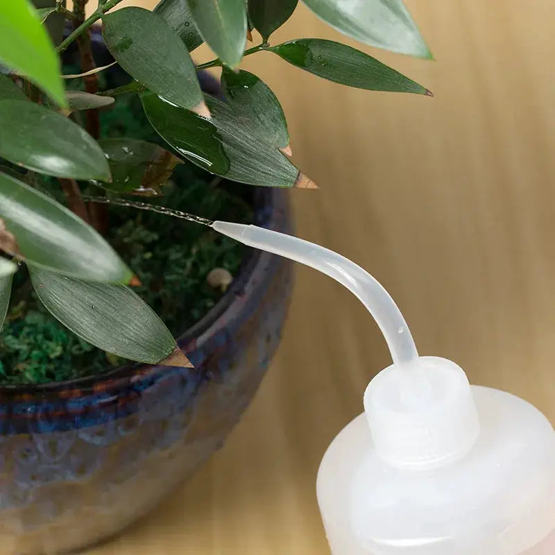 150 250 500 Ml Watering Beak Pouring Kettle For Succulents Plants Squeeze Bottles Gardening Tools
