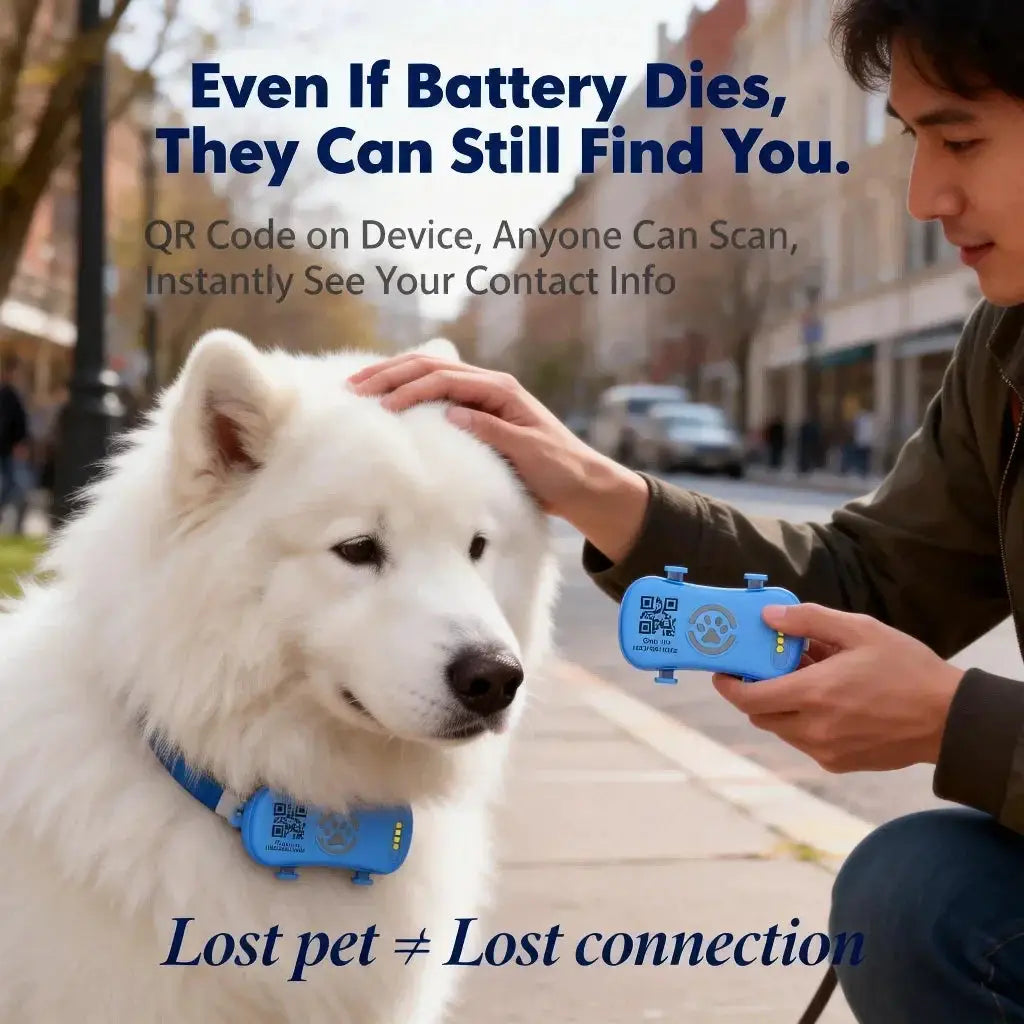 GPS Pet Tracker by Simples Market on a white dog; blue QR-enabled collar tag and handheld device
