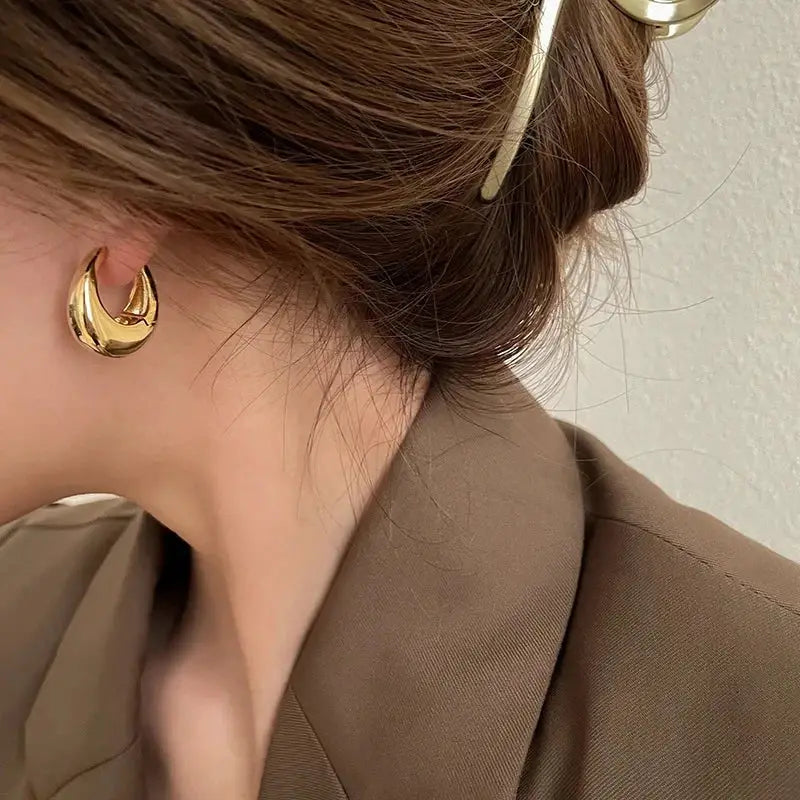 Stainless Steel Chunky Hoop Earrings for Women and Girls Round Circle Punk Jewelry Statement Earrings