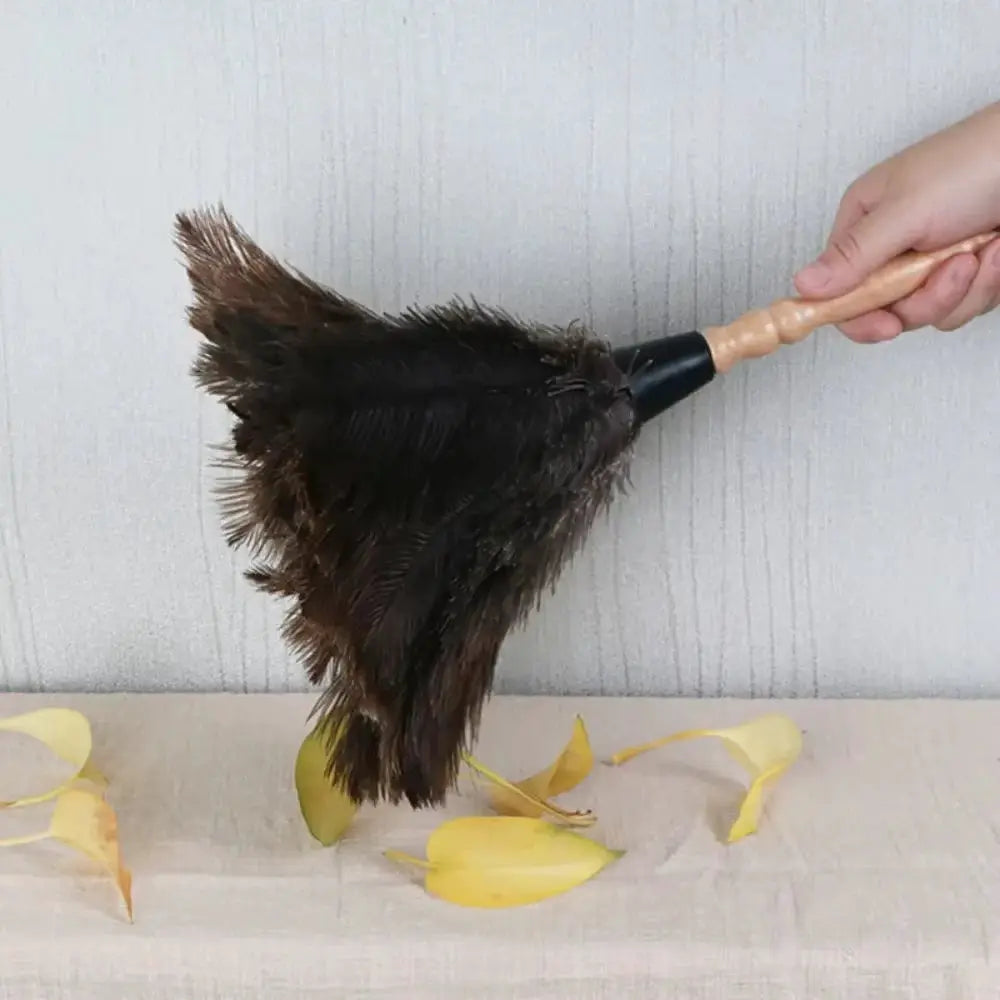 Simples Market ostrich feather duster with wooden handle and dark brown feathers