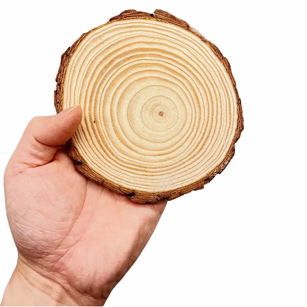 Natural Pine Wood Slices Round Discs Bark Edge 1 Pack Unfinished For DIY Crafts Wedding Decor Painting 3 To 12 Cm