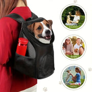 Simples Market portable mesh dog backpack; black breathable carrier with mesh sides, bottle pocket, dog peeking out.