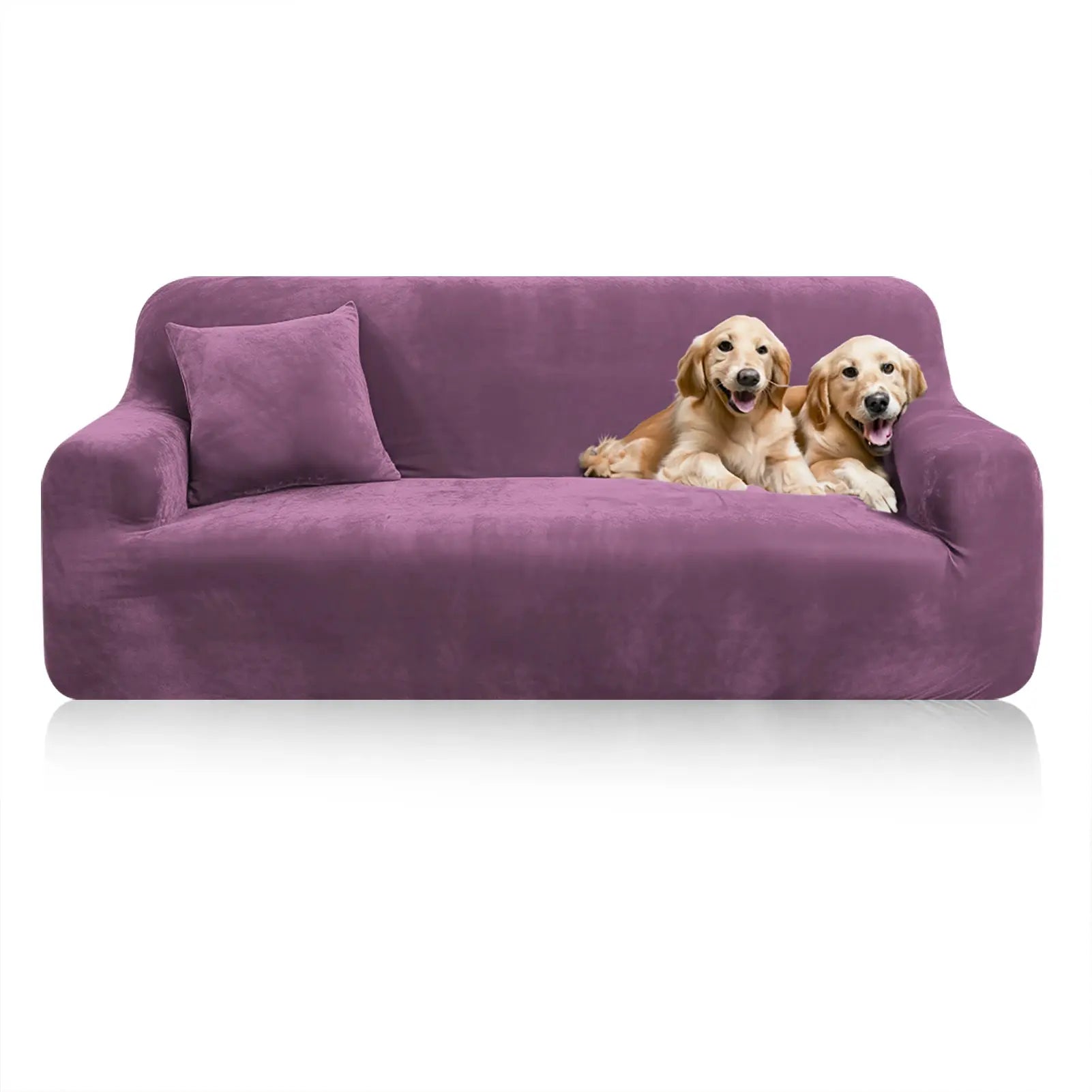 Simples Market stretch velvet sofa cover for 2-seat couch in purple with non-slip elastic bottom; two dogs lounging.