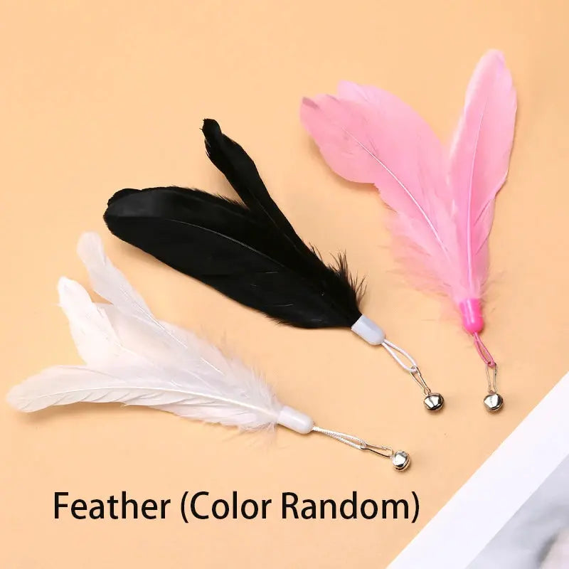 Interactive Cat Toy Hands Free Cat Wand Teaser Wand With Feathers Bell Suction Cup Bird Toy Pet Supplies