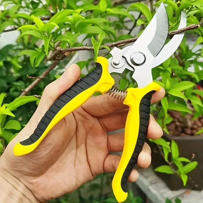 Stainless Steel Professional Gardening Shears for Pruning Branches Fruit Trees and Flowers