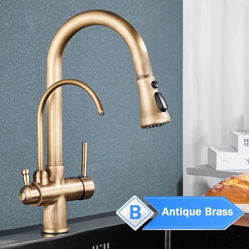 Rozin Purification kitchen faucet in antique brass with pull-out spray and 3-way mixer