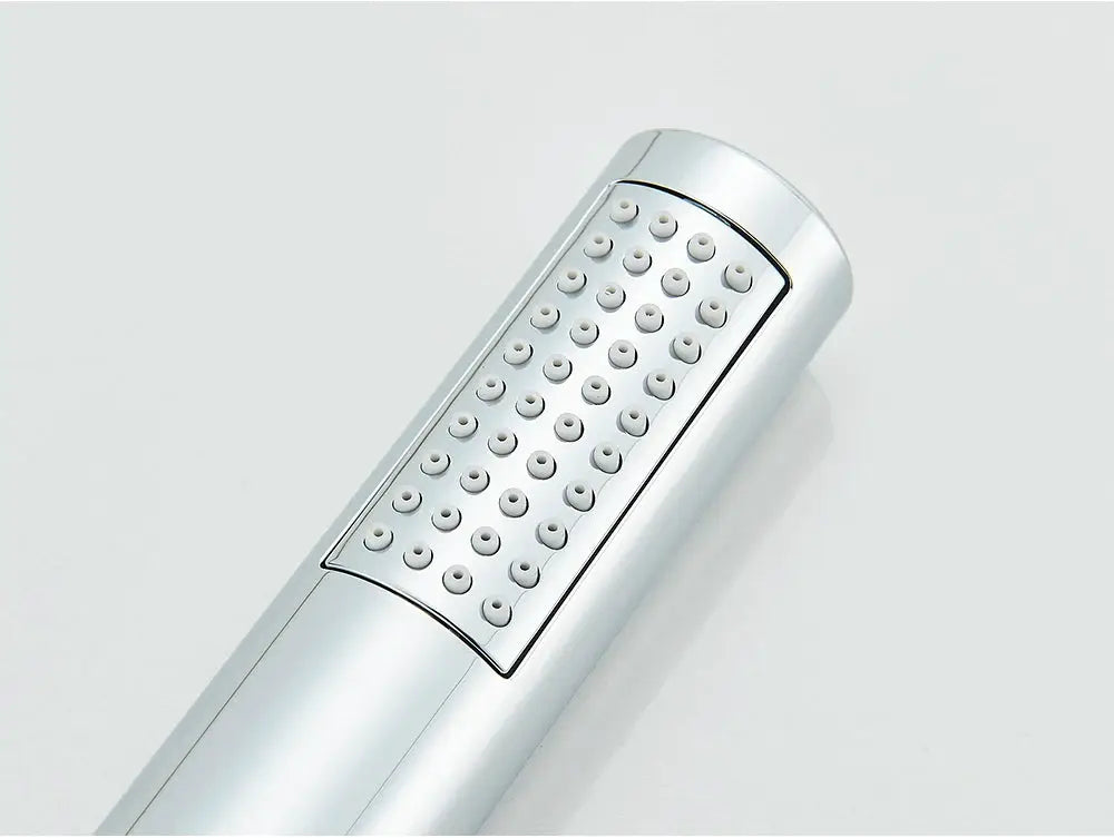 Handheld shower head, chrome-plated plastic with panel of circular spray nozzles, single function