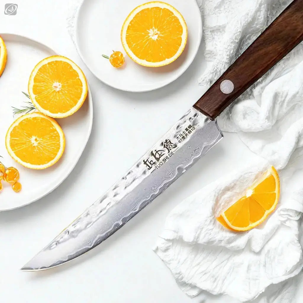 67 Ply Forged Damascus Steel Fruit Knife With Sharp Blade For Peeling And Boning Solid Wood Handle Kitchen Knife