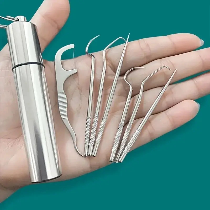 ProCare Stainless Steel Toothpick Set Reusable Toothpicks For Flossing And Tartar Removal On The Go
