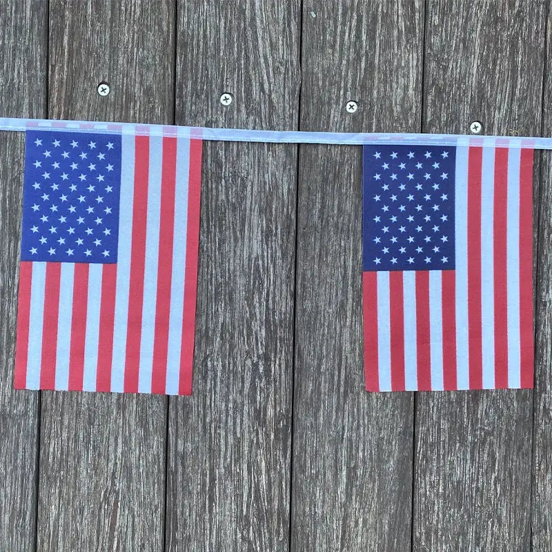 20 Pcs American String Flags Set USA Bunting Banner Small US Flags